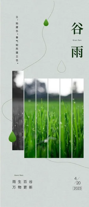 谷雨海报图片