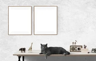 蓝猫办公桌海报样机图片