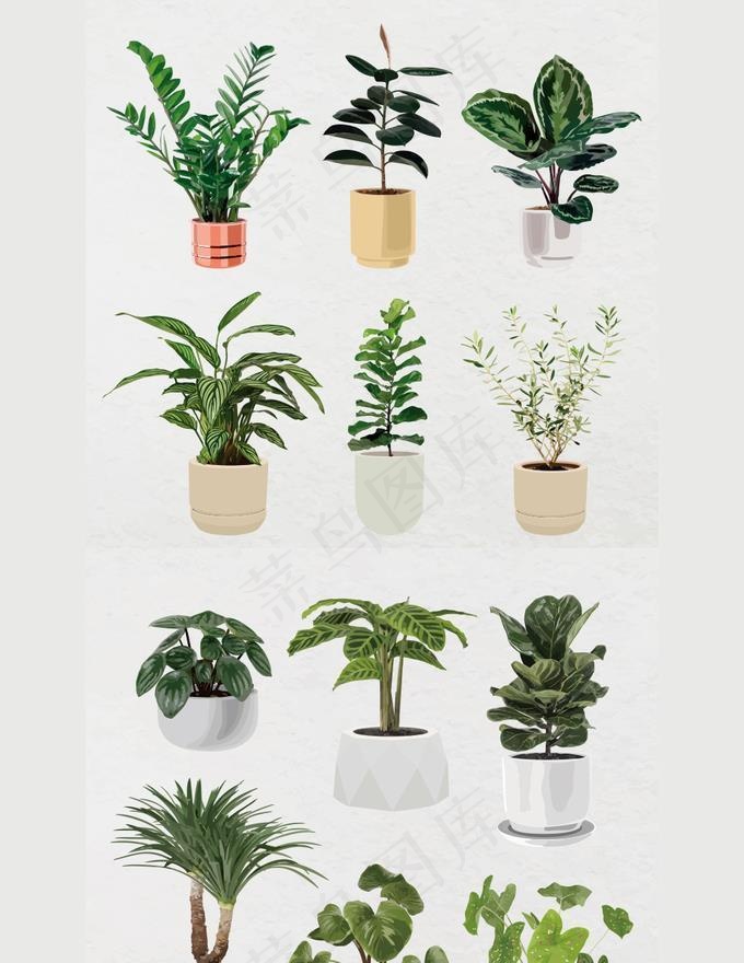 绿植盆栽元素图片
