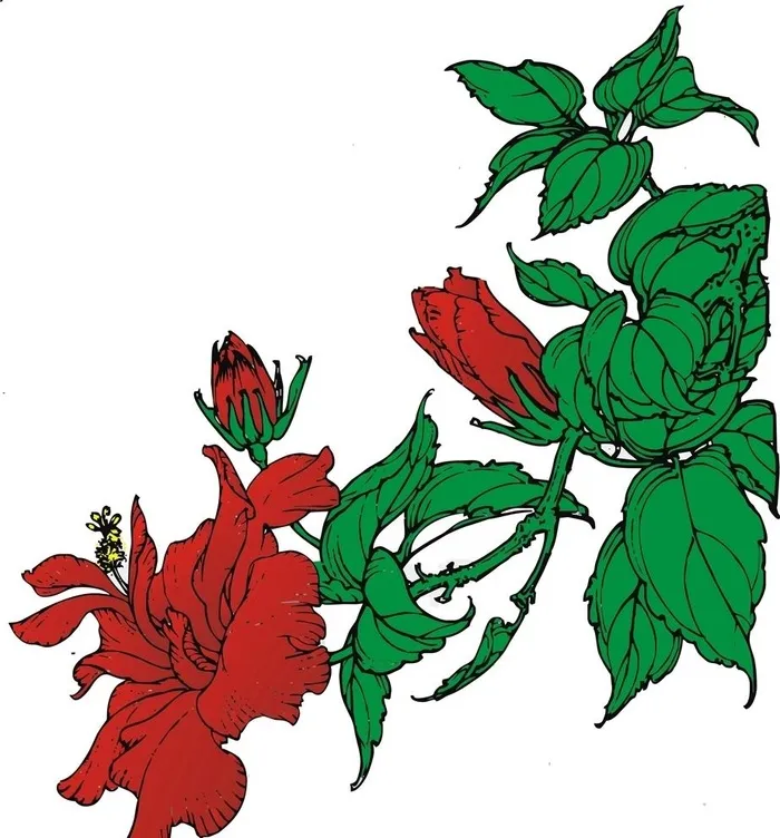 扶桑图片cdr矢量模版下载