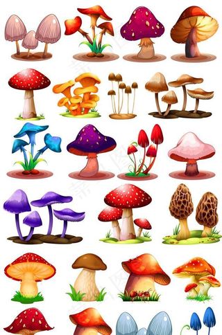 卡通蘑菇图片
