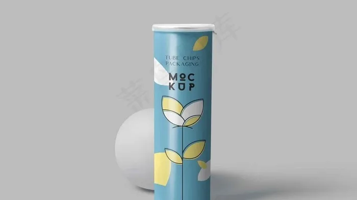 薯片桶子 图片(3500x2300)psd模版下载