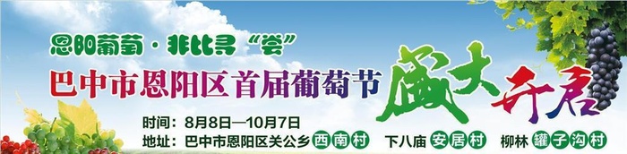 葡萄节图片cdr矢量模版下载