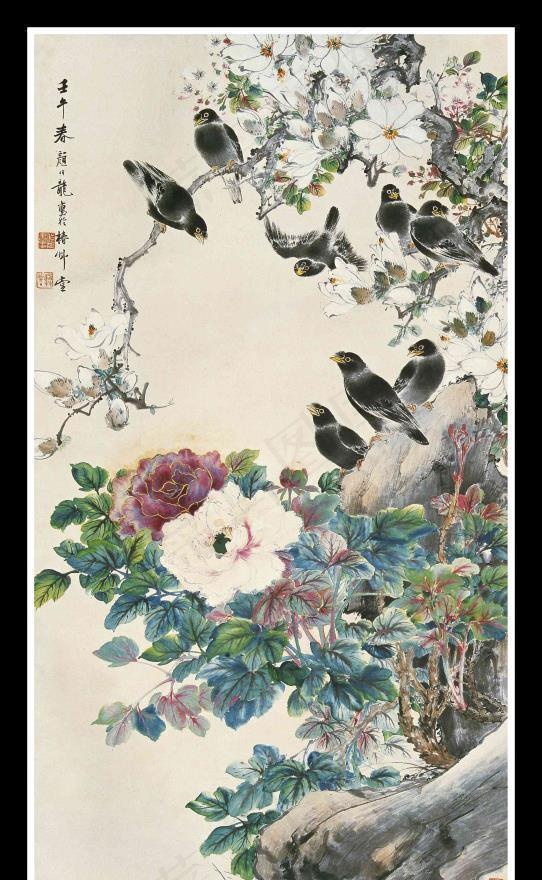 繁花八哥图片