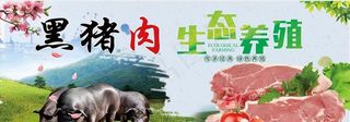黑猪肉图片