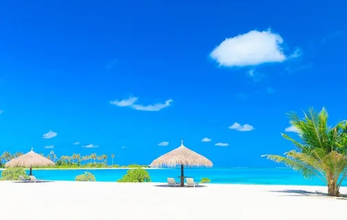 海边沙滩           图片