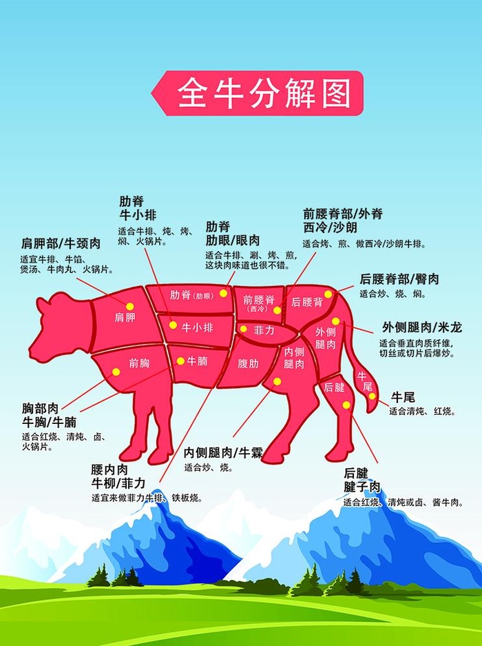 牛肉 分割图图片(2480x3425)psd模版下载