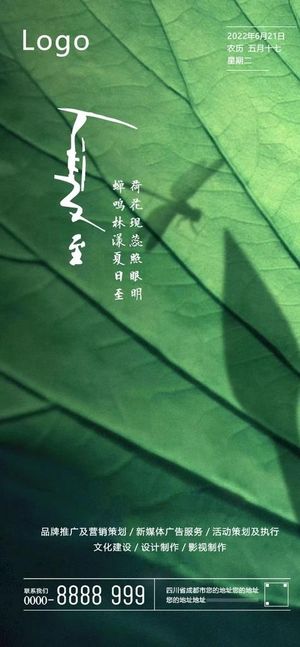 夏至节气海报图片