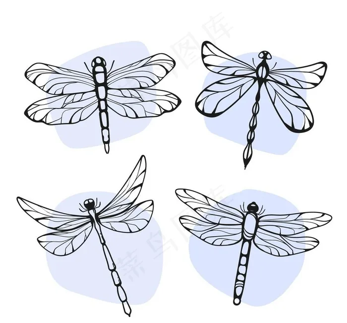 蜻蜓插画图片ai矢量模版下载