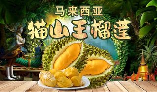 猫山王榴莲banner海报图片
