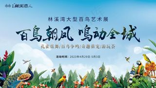 地产百鸟展背景板图片