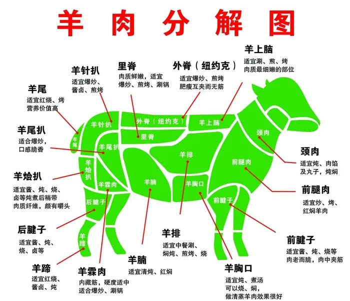 羊肉分解图图片