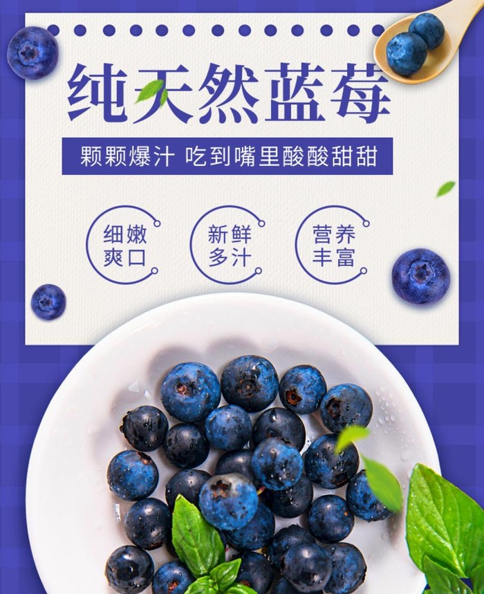 纯天然蓝莓图片(750x950)psd模版下载