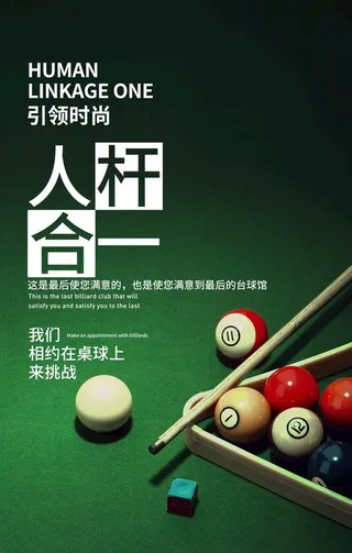 台球合一图片