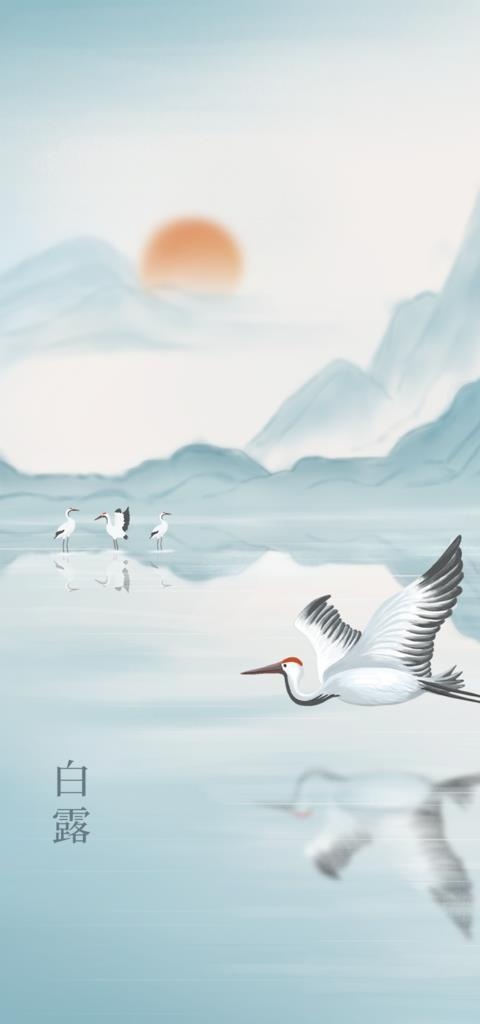 白露海报图片
