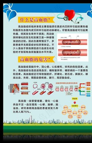 什么是高血脂图片