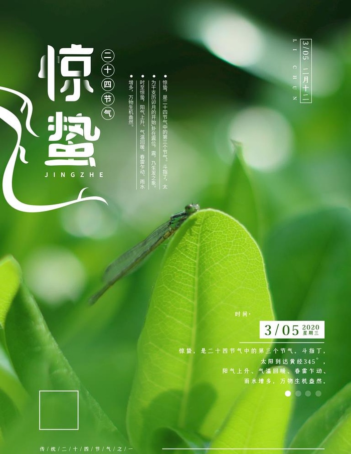惊蛰图片(3543x4724)psd模版下载