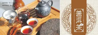 普洱茶海报图片