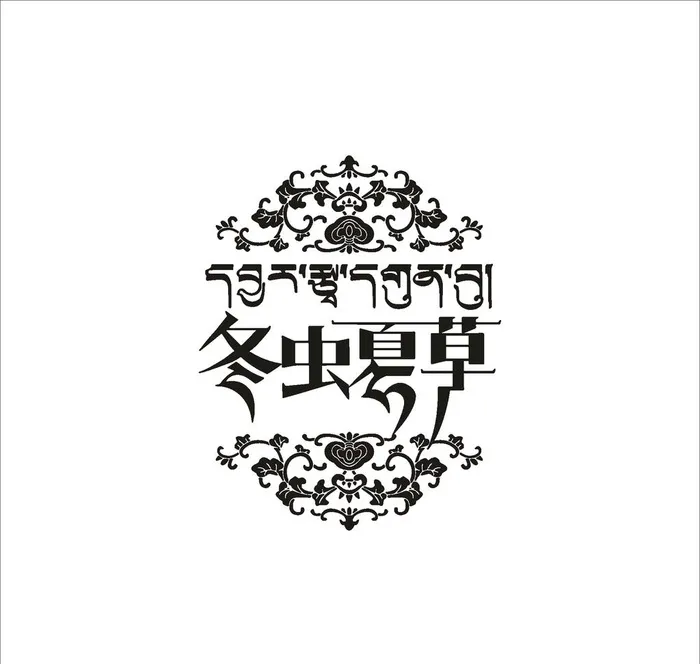 虫草图图片cdr矢量模版下载