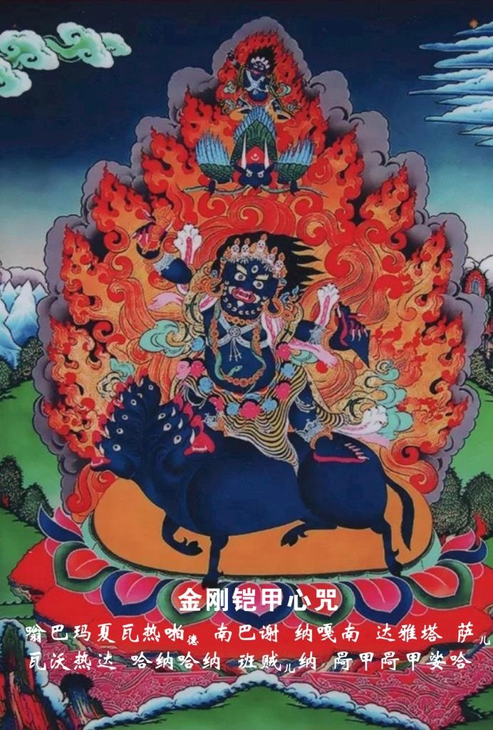 金刚铠甲图片