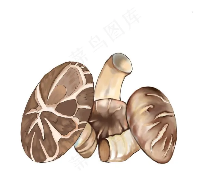 香菇插画设计  国潮风图片(5000x5000)psd模版下载
