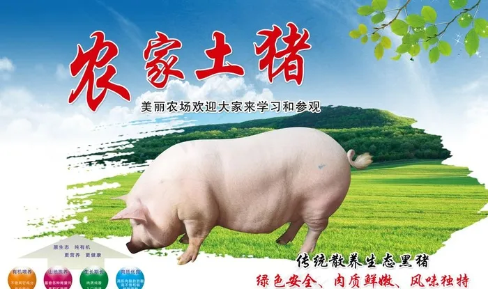农家土猪肉图片(4724x2954)psd模版下载