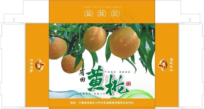 黄桃礼盒包装源文件图片cdr矢量模版下载
