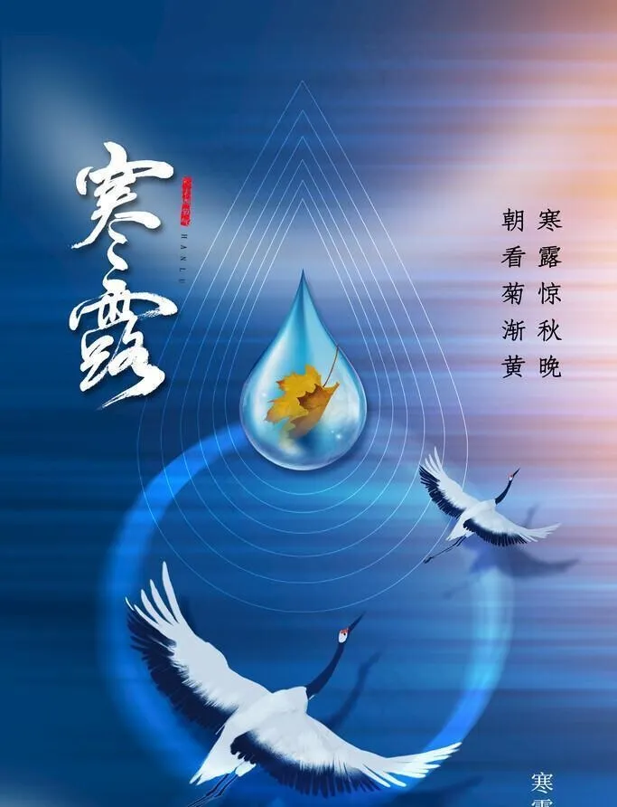 寒露海报图片(2362x3543)psd模版下载