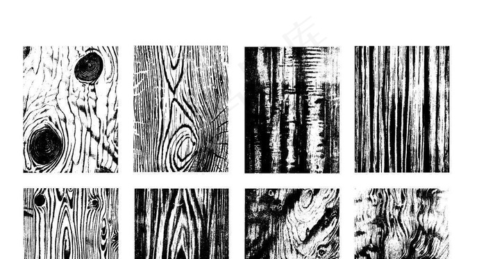 树纹图片