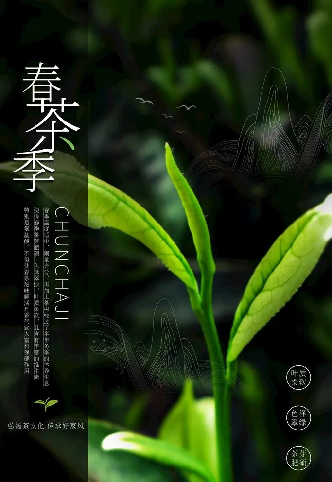 春茶季图片