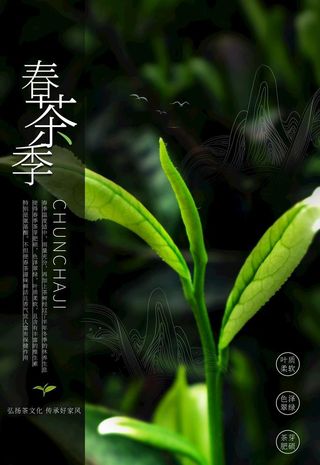 春茶季图片