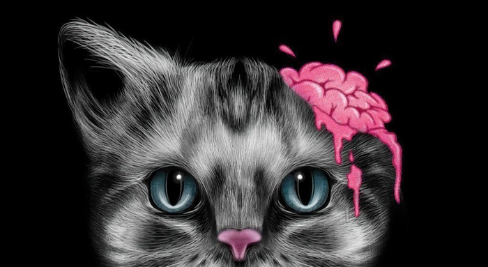 可爱猫咪图片ai矢量模版下载