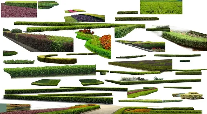 灌木素材图片(4850x2827)psd模版下载