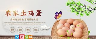 鸡蛋图片