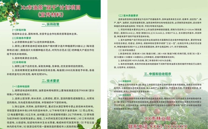 油茶计划项目图片