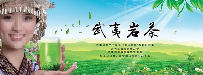 苗族女 茶田背景图片