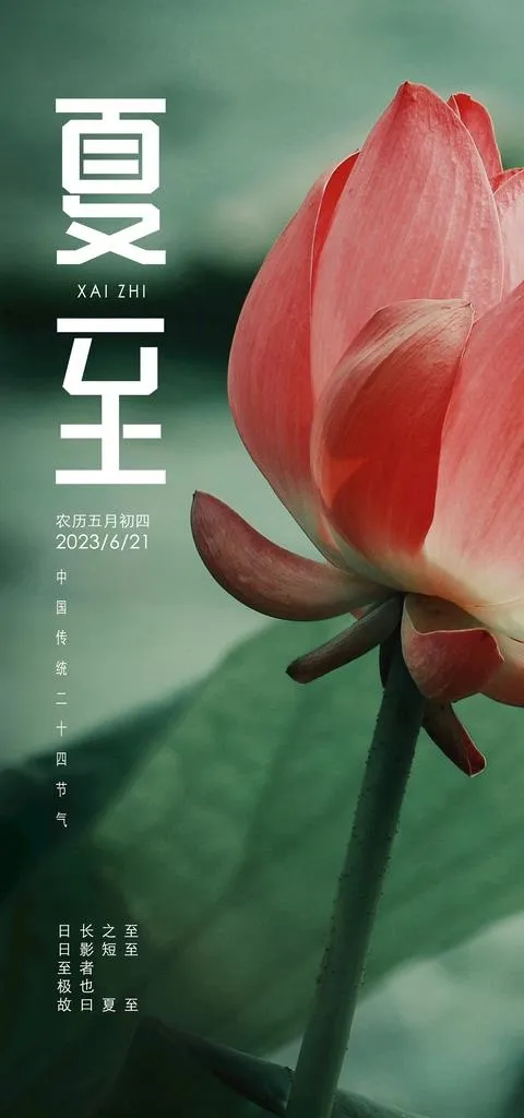 夏至图片(2362x4724)psd模版下载