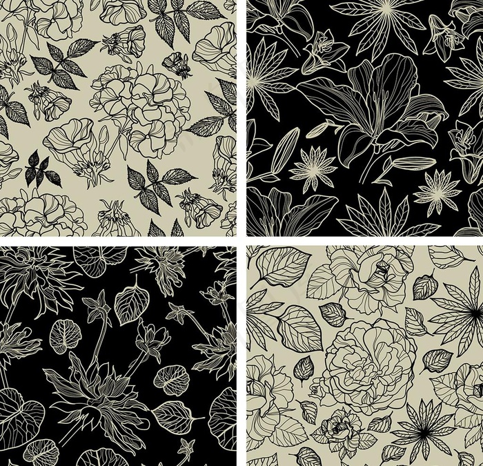 线条玫瑰花图片