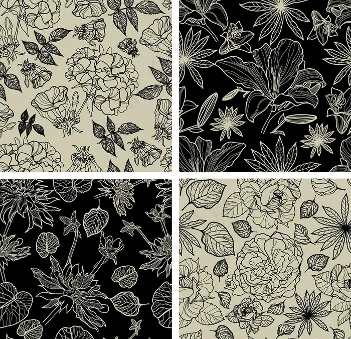 线条玫瑰花图片