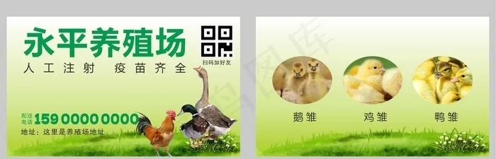 鸡鸭生态养殖场名片图片cdr矢量模版下载
