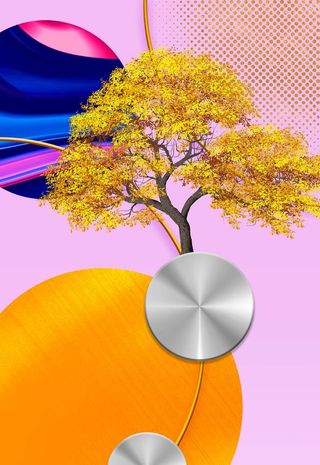 发财树时尚圆艺术挂画装饰画图片