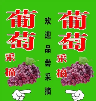 葡萄采摘园图片