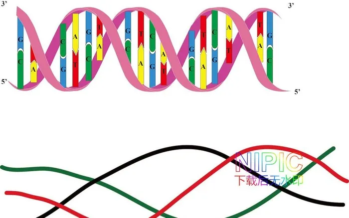 dna图形图片ai矢量模版下载