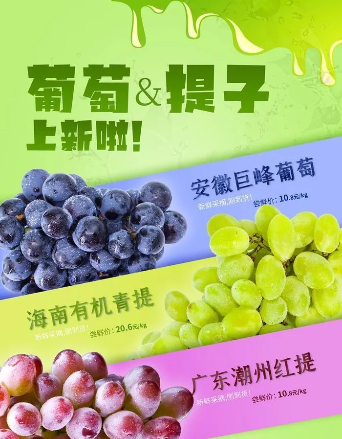 葡萄海报图片(2480x3508)psd模版下载