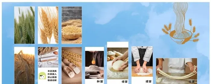 面条步骤图图片cdr矢量模版下载