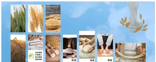 面条步骤图图片