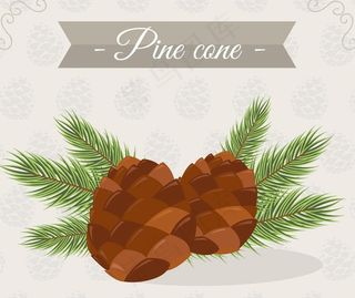 松枝松塔矢量图片