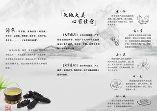 海参三折页图片