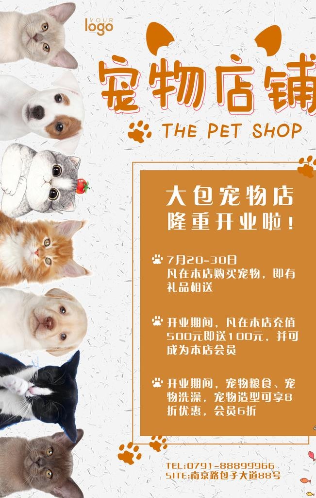 宠物店海报 美容 猫猫 狗图片(3543x5315)psd模版下载