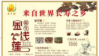 金线莲海报图片